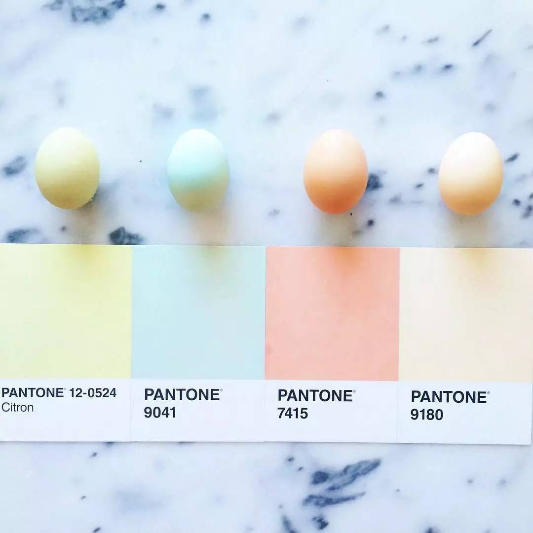 《pantone food》吃货世界的pantone色卡